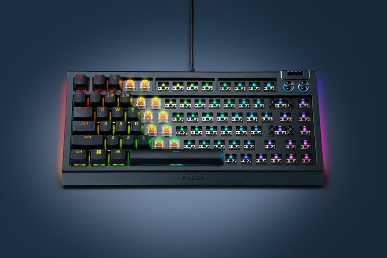 Razer BlackWidow V4 75% Barebones - US - ブラック - 1 を表示