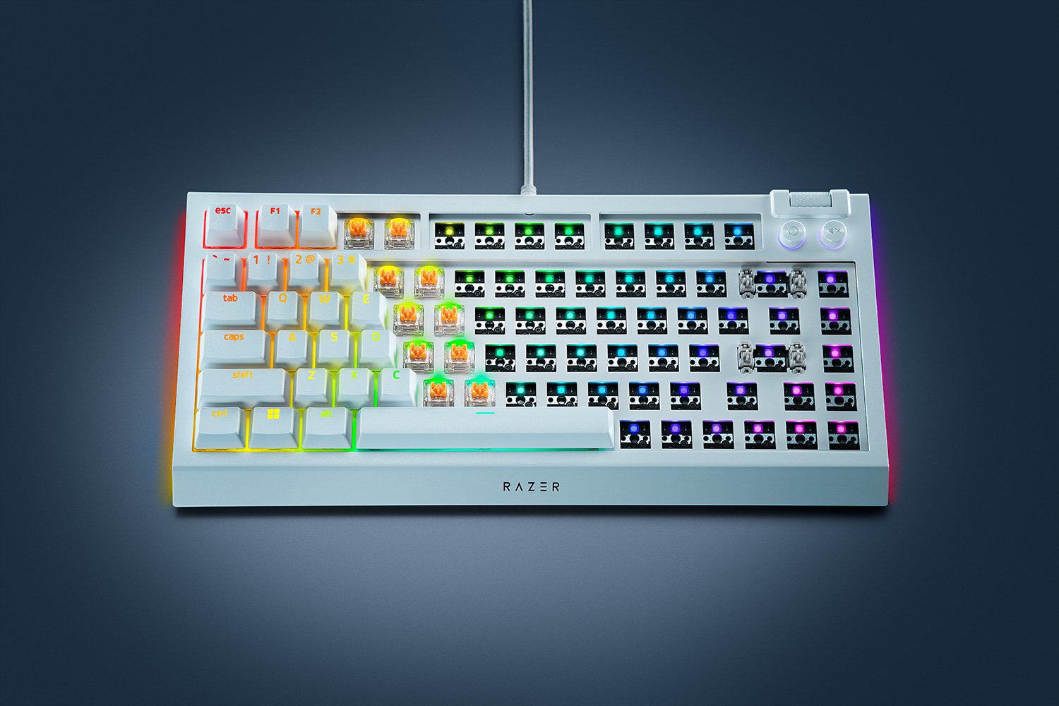 Razer BlackWidow V4 75% Barebones - US - Blanche