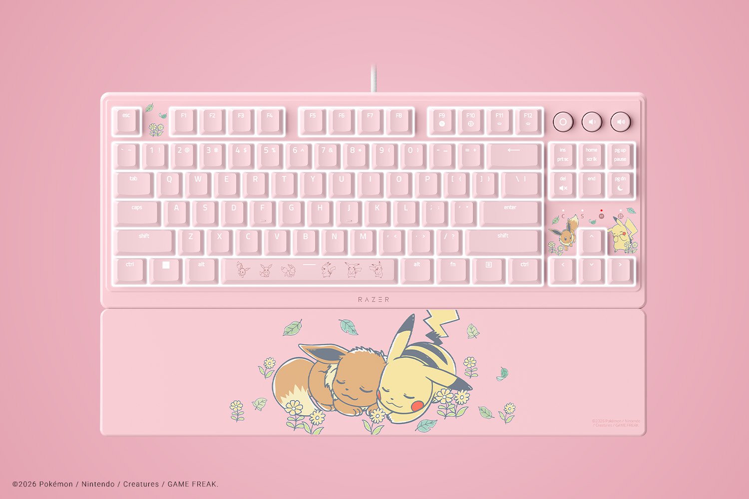 Razer Pikachu & Eevee Collection