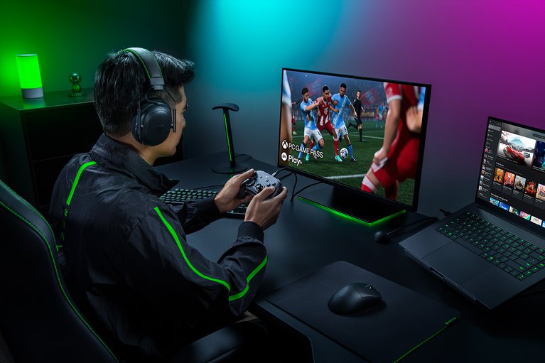Razer Wolverine V4 Tournament Edition -view 1