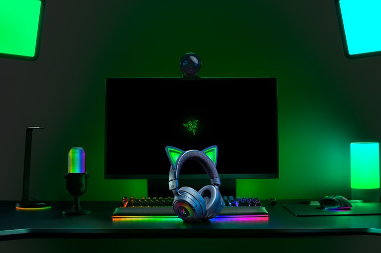Razer Main Character Bundle -view 1