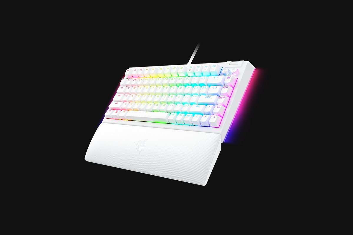 240130-bw-v4-75-white- 