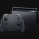 Razer Skins - Nintendo Switch - Black Metal - Complete -view 1