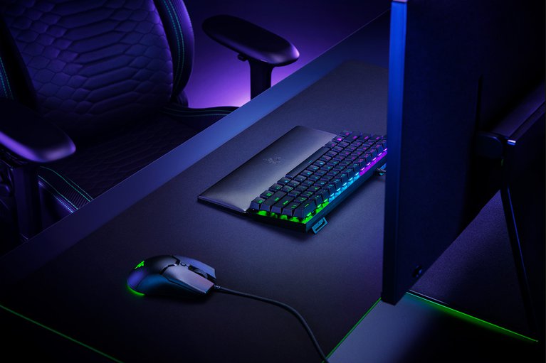 Razer Ergonomic Wrist Rest Mini with Keyboard on Razer Workstation (Back-Angled View)