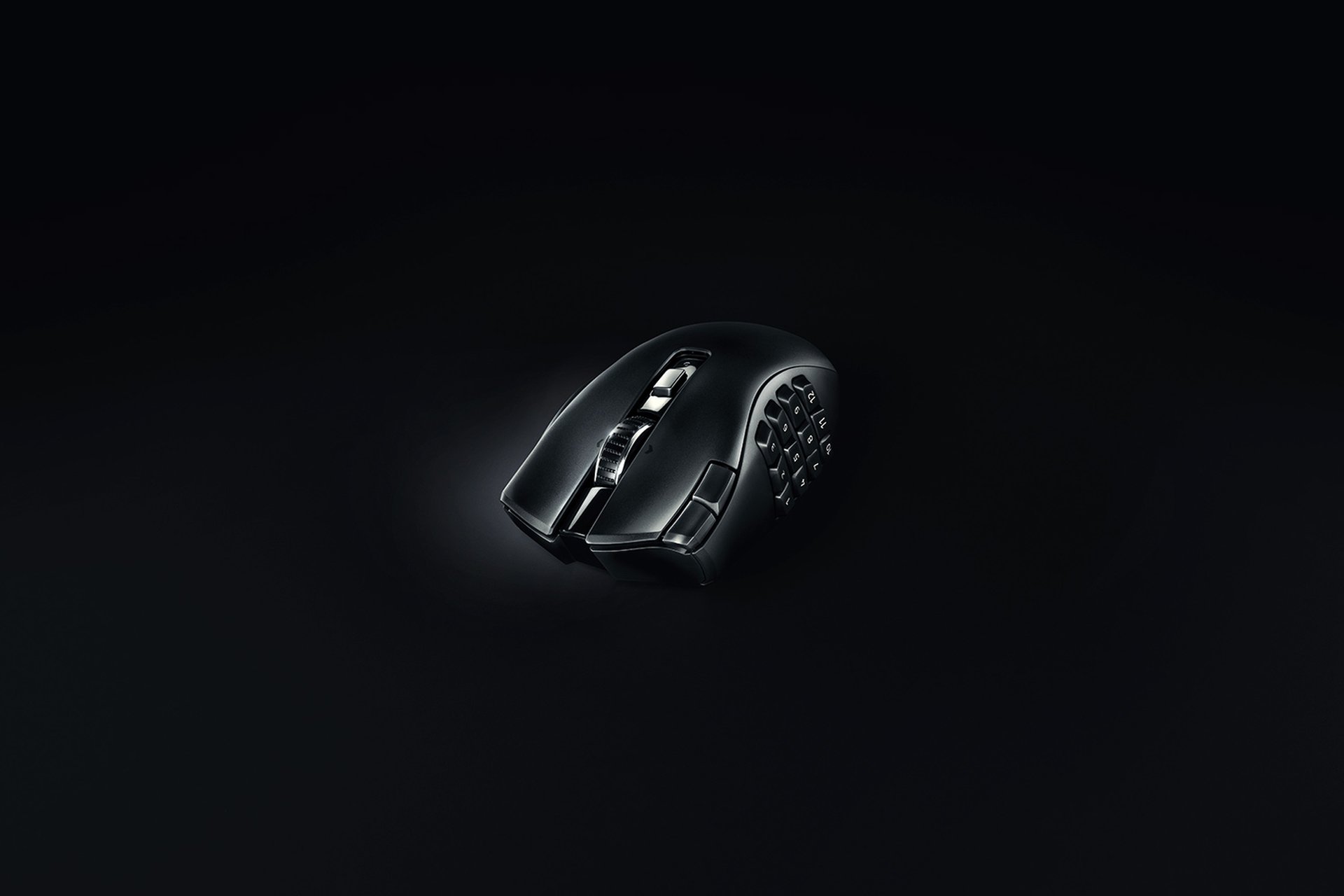 221110-naga-v2-hyperspeed- 