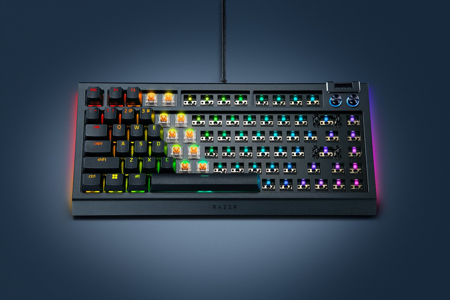 Razer BlackWidow V4 75% Barebones - US - ブラック