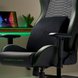 Razer Lumbar Cushion on Iskur X - Office Posture Assistant